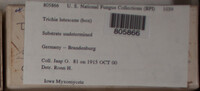 Image Associated With the Occurence